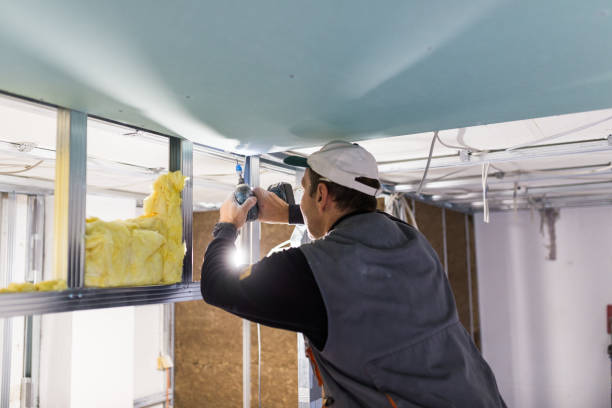 Best Specialized Insulation Services in St Charles, MI