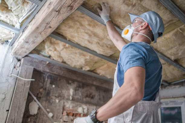 Best Spray Foam Insulation in St Charles, MI