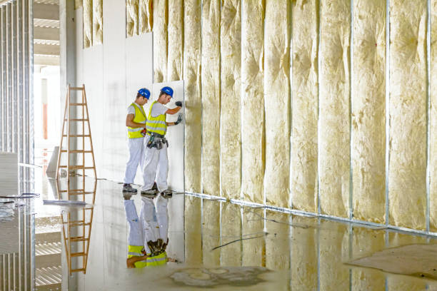 Professional Insulation Contractor in St Charles, MI